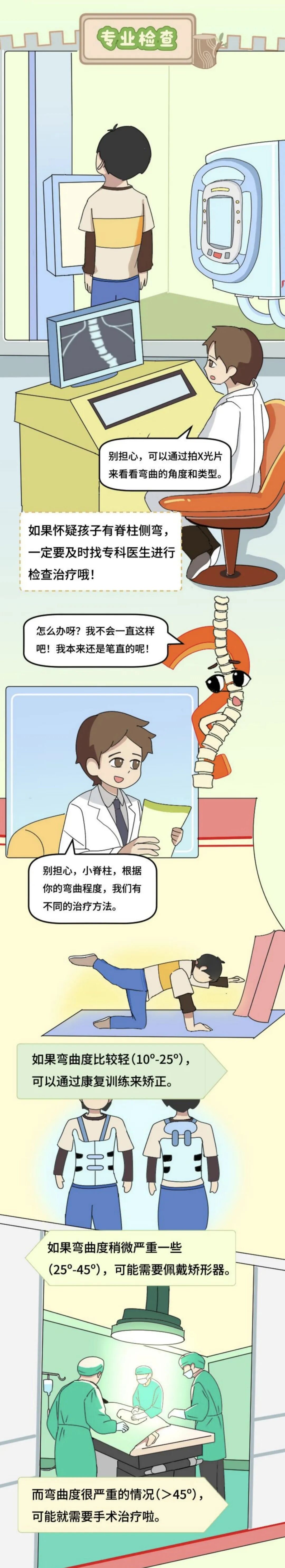 图文组一等奖《挺起脊梁的小朋友：小直的健康“脊”密》