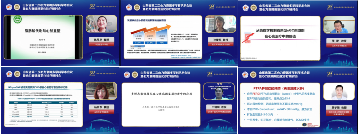 山东省第二次心力衰竭多学科学术会议暨心力衰竭规范化诊疗研讨会在线举办