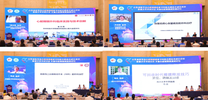 山东省医学会心脏瓣膜病多学科联合委员会成立会议暨首次学术研讨会成功举办